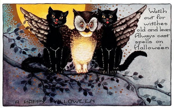 Vintage Halloween Postcard Whitney Cats and Owl