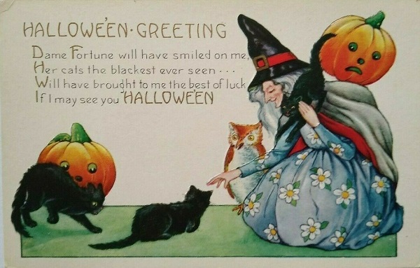 Vintage Halloween Postcard Whitney Gray Hair Witch Owl Black Cats